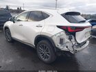 2024 Lexus Nx 350h Premium White vin: JTJGKCEZ6R2030331 2024 Lexus Nx 350h Premium White vin: JTJGKCEZ6R2030331