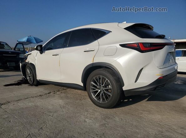 JTJGKCEZ9P2014668 2023 LEXUS NX Белый Задняя левая четверть