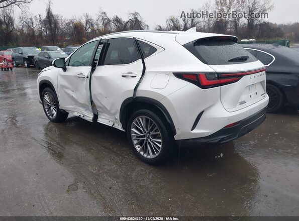 JTJHKCEZ2P2013818 2023 LEXUS NX 350H Белый Задняя левая четверть