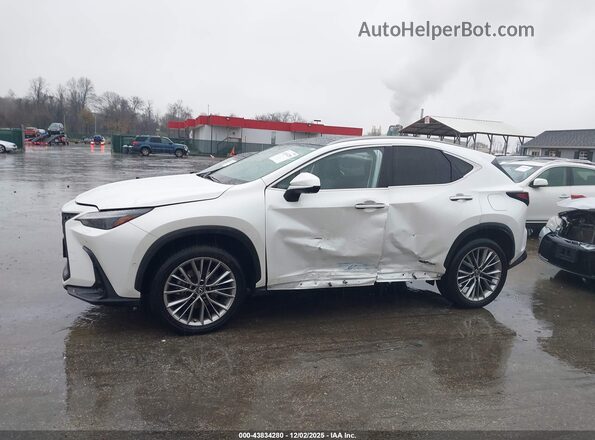 JTJHKCEZ2P2013818 2023 LEXUS NX 350H Белый Панорамный вид салона 360°