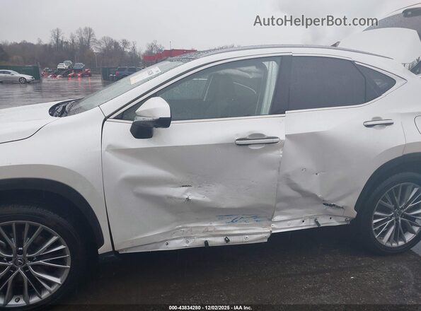 JTJHKCEZ2P2013818 2023 LEXUS NX 350H Белый Вид спереди