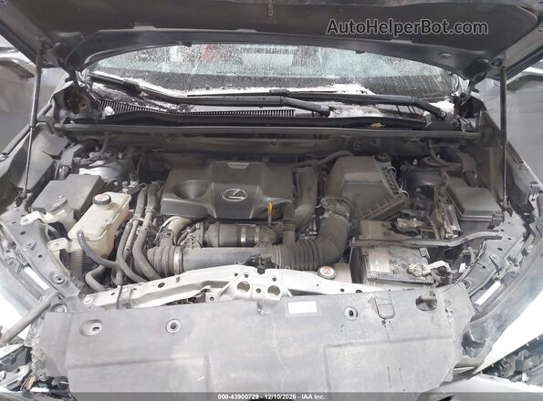 JTJJARDZ2L5005056 2020 LEXUS NX 300 Gray უკანა ხედი