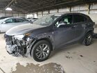 2020 Lexus Nx 300 F Sport Gray vin: JTJSARBZ1L5001684