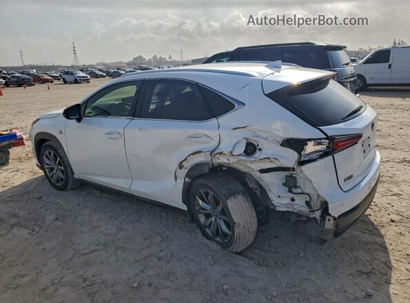 JTJSARBZ3M2197498 2021 LEXUS NX White Tył lewy