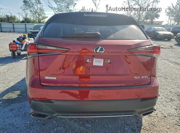 JTJSARBZ6L5012566 2020 LEXUS NX Burgundy Rear view