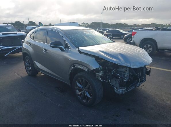 JTJSARBZ7M2193373 2021 LEXUS NX 300 Gray Front right