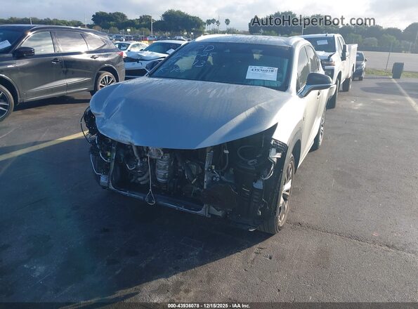 JTJSARBZ7M2193373 2021 LEXUS NX 300 Gray Front view