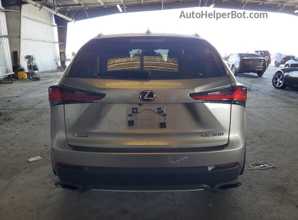 JTJSARDZ5L2228357 2020 LEXUS NX Silver უკანა ხედი