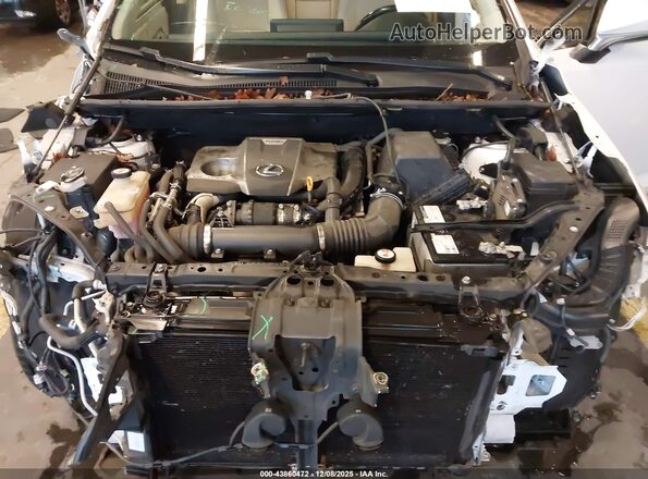 JTJYARBZ2J2096054 2018 LEXUS NX 300 Белый Вид сзади
