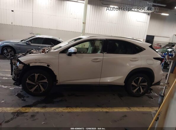 JTJYARBZ2J2096054 2018 LEXUS NX 300 Белый 