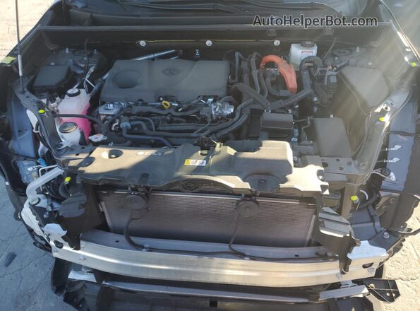 JTM16RFV3SJ064976 2025 TOYOTA RAV4 Серый Вид задней части салона