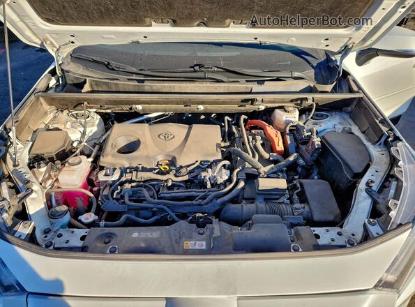 JTM16RFV9ND526721 2022 TOYOTA RAV4 Белый Вид задней части салона