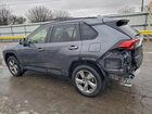 2019 Toyota Rav4 Limited Gray vin: JTMDWRFV0KD520041