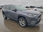 2019 Toyota Rav4 Limited Gray vin: JTMDWRFV0KD520041