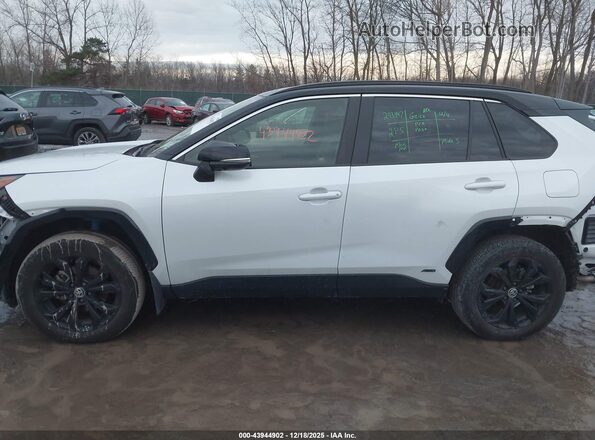 JTME6RFV0SD574671 2025 TOYOTA RAV4 HYBRID Белый Панорамный вид салона 360°