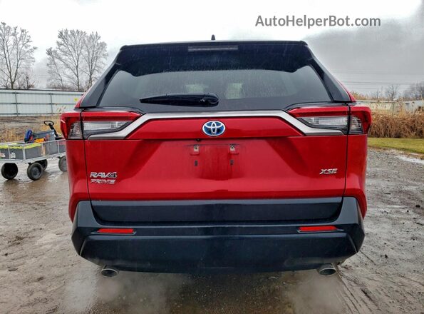 JTMEB3FV0MD020414 2021 TOYOTA RAV4 Red Հետևի տեսք