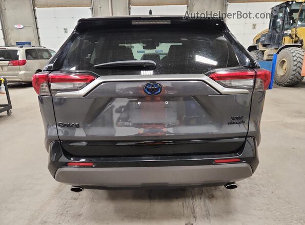 JTMEWRFV2LD537803 2020 TOYOTA RAV4 Gray Вид ззаду
