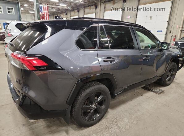 JTMEWRFV2LD537803 2020 TOYOTA RAV4 Gray Задня права чверть