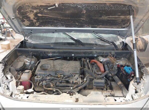 JTMEWRFV3LJ049543 2020 TOYOTA RAV4 HYBRID Gray Widok z tyłu
