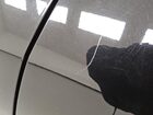 2019 Buick Encore Preferred Black vin: KL4CJESB9KB873284 Damage: Left Rear Door, Heavy Scratch, 1 To 2 Inches
