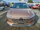 2021 Hyundai Nexo Limited Коричневый vin: KM8J84A69MU014660