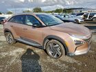 2021 Hyundai Nexo Limited Коричневый vin: KM8J84A69MU014660