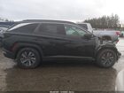 2022 Hyundai Tucson Hybrid Blue Blue vin: KM8JBCA15NU035992
