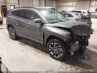 2025 Hyundai Tucson Hybrid Limited Gray vin: KM8JEDD13SU367207