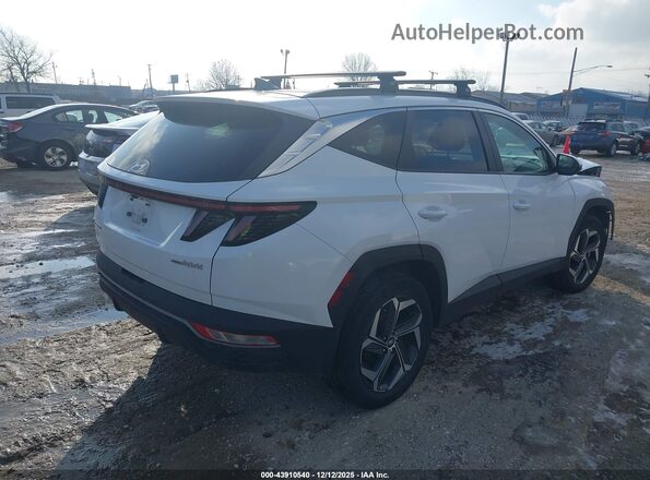KM8JFCA18NU077481 2022 HYUNDAI TUCSON HYBRID Белый Задняя правая четверть