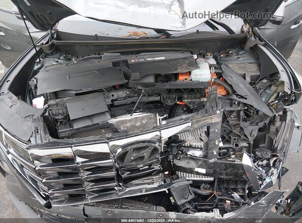 KM8JFDD29RU146050 2024 HYUNDAI TUCSON PLUG-IN HYBRID Серый Вид сзади