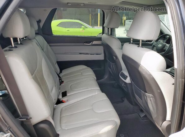 KM8R44HE1LU031849 2020 HYUNDAI PALISADE Серый Вид задней части салона