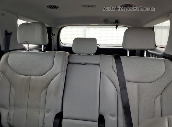 KM8R44HE1LU031849 2020 HYUNDAI PALISADE Серый Вид задних сидений