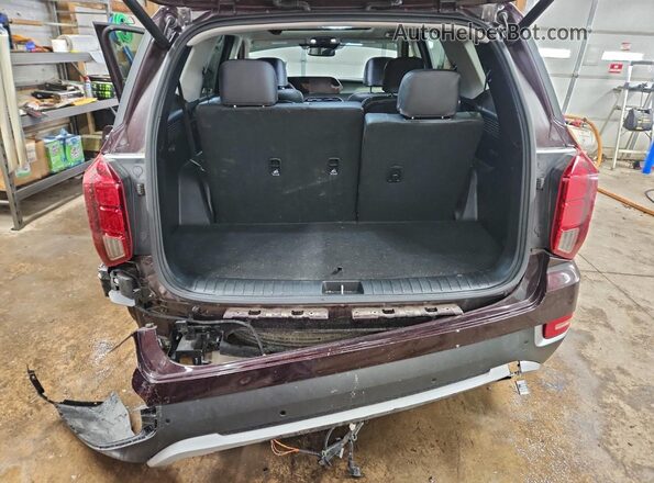 KM8R4DHE1LU030524 2020 HYUNDAI PALISADE Темно-бордовый Вид сзади