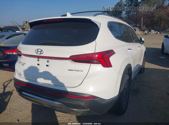 KM8S2DA18NU049072 2022 HYUNDAI SANTA FE HYBRID BLUE White უკანა მარჯვენა
