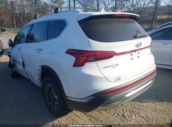 KM8S2DA18NU049072 2022 HYUNDAI SANTA FE HYBRID BLUE White უკანა მარცხენა