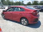 2019 Hyundai Ioniq Blue Бордовый vin: KMHC65LC4KU178595