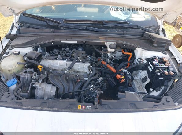 KMHC75LC1LU215990 2020 HYUNDAI IONIQ HYBRID Белый Вид сзади