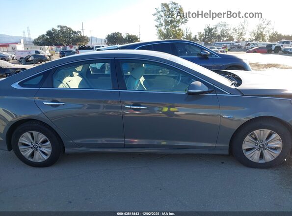 KMHE24L33KA093599 2019 HYUNDAI SONATA HYBRID Серый Вид задней части салона