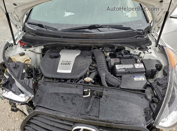 KMHTC6AE6GU302568 2016 HYUNDAI VELOSTER Белый Вид задней части салона