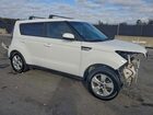 2019 Kia Soul Белый vin: KNDJN2A28K7692004 2019 Kia Soul Белый vin: KNDJN2A28K7692004