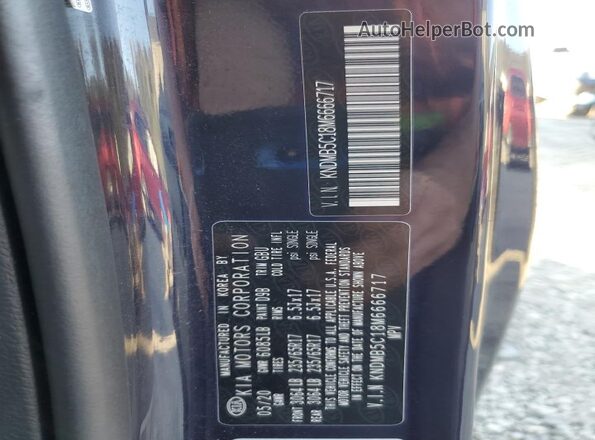 KNDMB5C18M6666717 2021 KIA SEDONA Blue Widok naklejki z numerem VIN