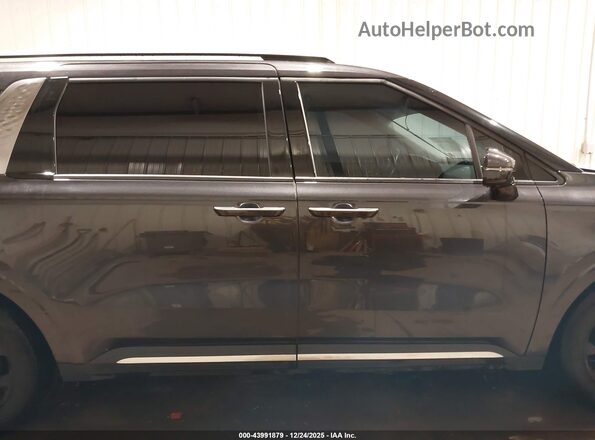 KNDNE5H3XP6224497 2023 KIA CARNIVAL MPV Серый Панорамный вид салона 360°