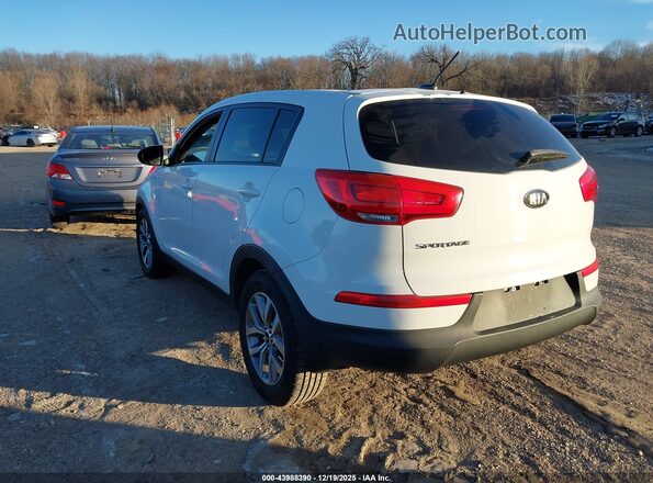 KNDPBCAC3G7848894 2016 KIA SPORTAGE White Tył lewy
