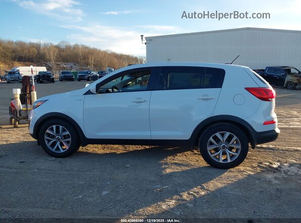 KNDPBCAC3G7848894 2016 KIA SPORTAGE White Widok wnętrza 360 stopni