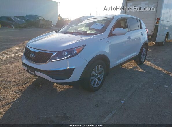 KNDPBCAC3G7848894 2016 KIA SPORTAGE White Przód lewy