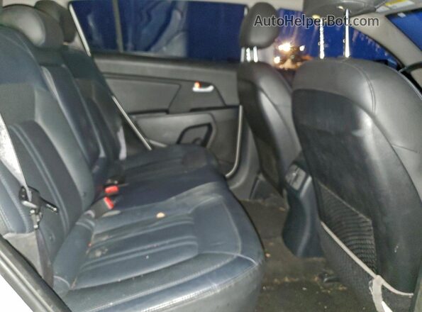 KNDPC3AC2G7836149 2016 KIA SPORTAGE Белый Вид задней части салона
