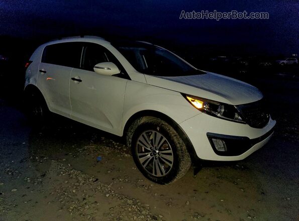 KNDPC3AC2G7836149 2016 KIA SPORTAGE Белый Передняя правая четверть