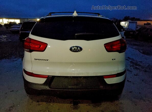 KNDPC3AC2G7836149 2016 KIA SPORTAGE Белый Вид сзади