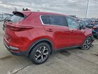 2020 Kia Sportage Lx Красный vin: KNDPM3AC1L7825764