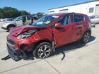 2022 Kia Sportage Lx Red vin: KNDPM3ACXN7009686